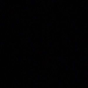 Meet your Posher, Oscar